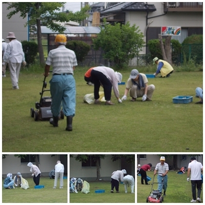 ６月芝ボラ.jpg