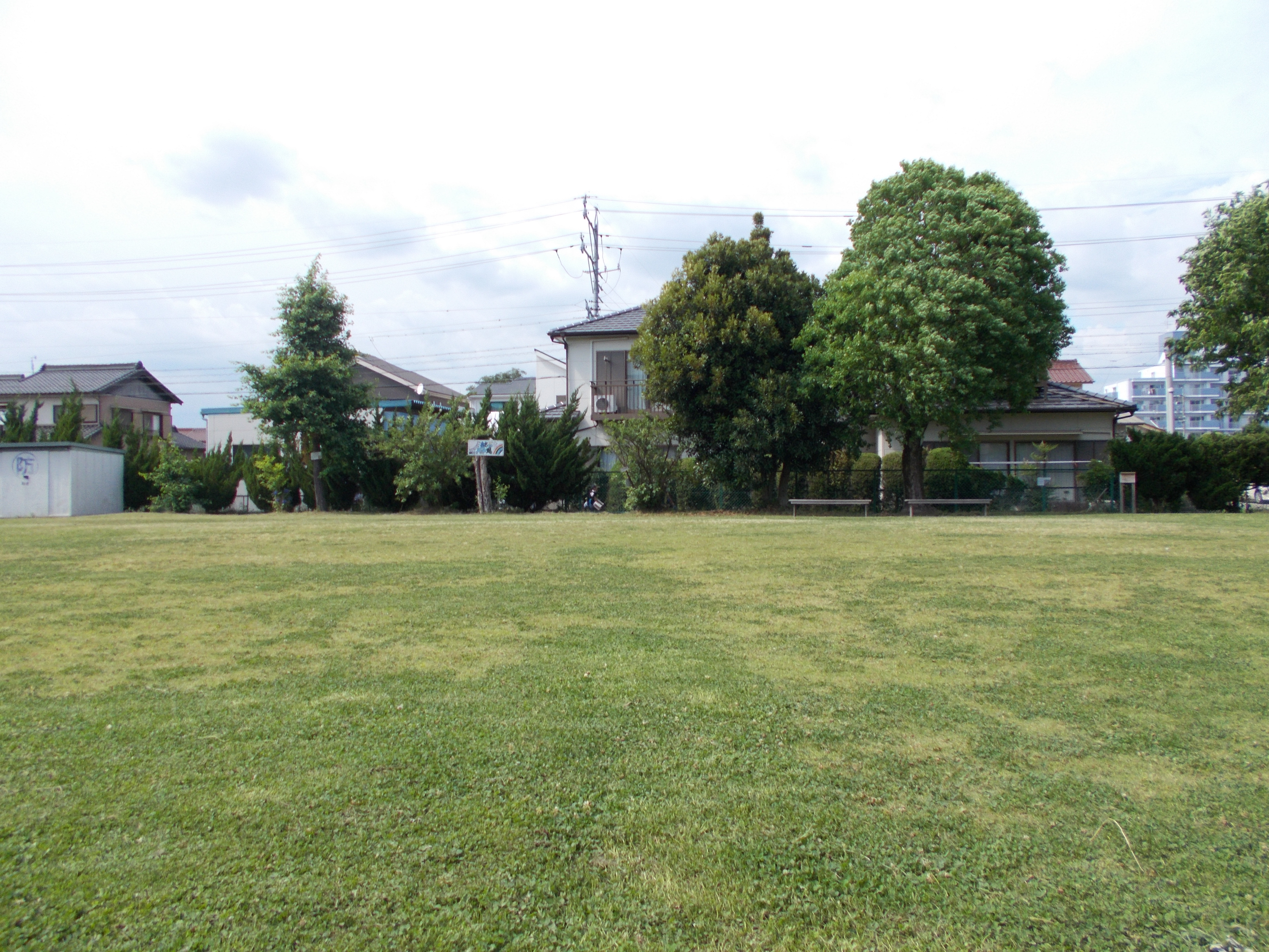 芝生広場とビオトープ