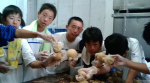 20120614105259.jpg