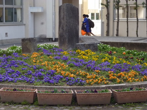 中庭花壇・３月.JPG