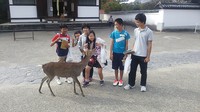 10.27奈良公園⑦.JPG