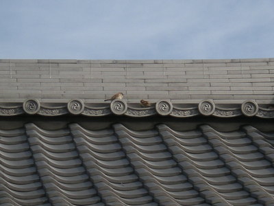 405本地ヶ原神社 (2).JPG