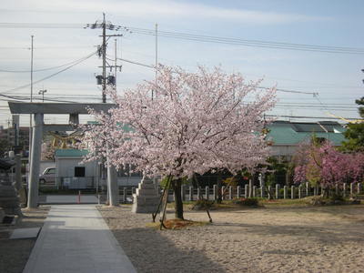 405本地ヶ原神社 (3).JPG