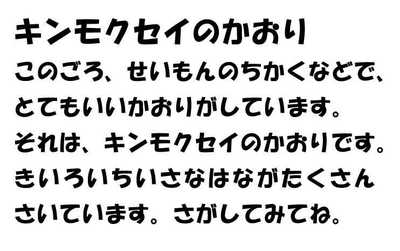 291012キンモクセイの香り.JPG