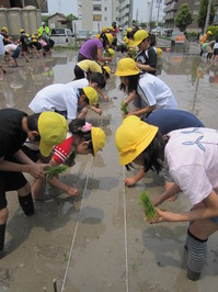 ５年田植え２３ 004.jpg