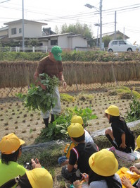 ３年　田畑見学 010.JPG