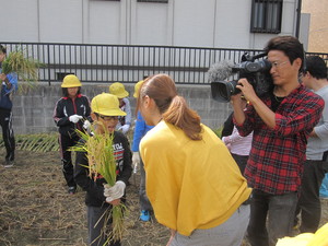 学校紹介ＧＣＴＶ②稲刈り 003.JPG