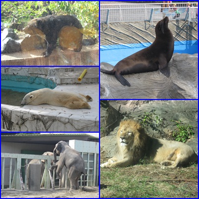 動物園５.jpg