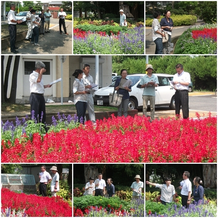 県秋花壇審査2014.jpg