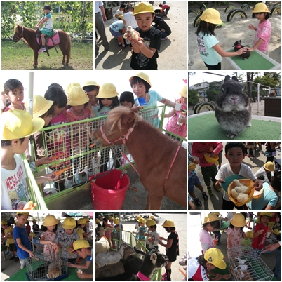 移動動物園2014②.jpg